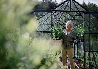 9 tipů: Jak si zařídit zahradní skleník