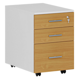 Rollcontainer mit Hängeregister