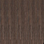 Eukalyptus