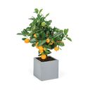 Blumentopf eckig M 28 x 28 x 28 cm, fiberclay, grau