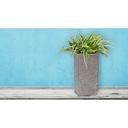 Blumentopf G 21 Natur Tube 40 x 82 x 40 cm