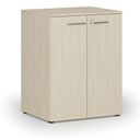 Büroschrank mit Tür PRIMO WOOD, 2 Einlegeböden, 1027 x 800 x 640 mm, Birke