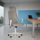 Bürostuhl FRESH 1+1 GRATIS, grau