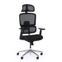 Bürostuhl  WILMOT 1+1 GRATIS, schwarze Konstruktion, schwarz