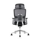 Bürostuhl  WILMOT 1+1 GRATIS, schwarze Konstruktion, schwarz