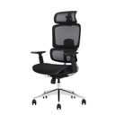 Bürostuhl  WILMOT 1+1 GRATIS, schwarze Konstruktion, schwarz