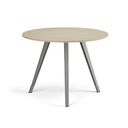 Couchtisch PRIMO ZEN, Durchmesser 100 cm, graues Metallgestell, Birke