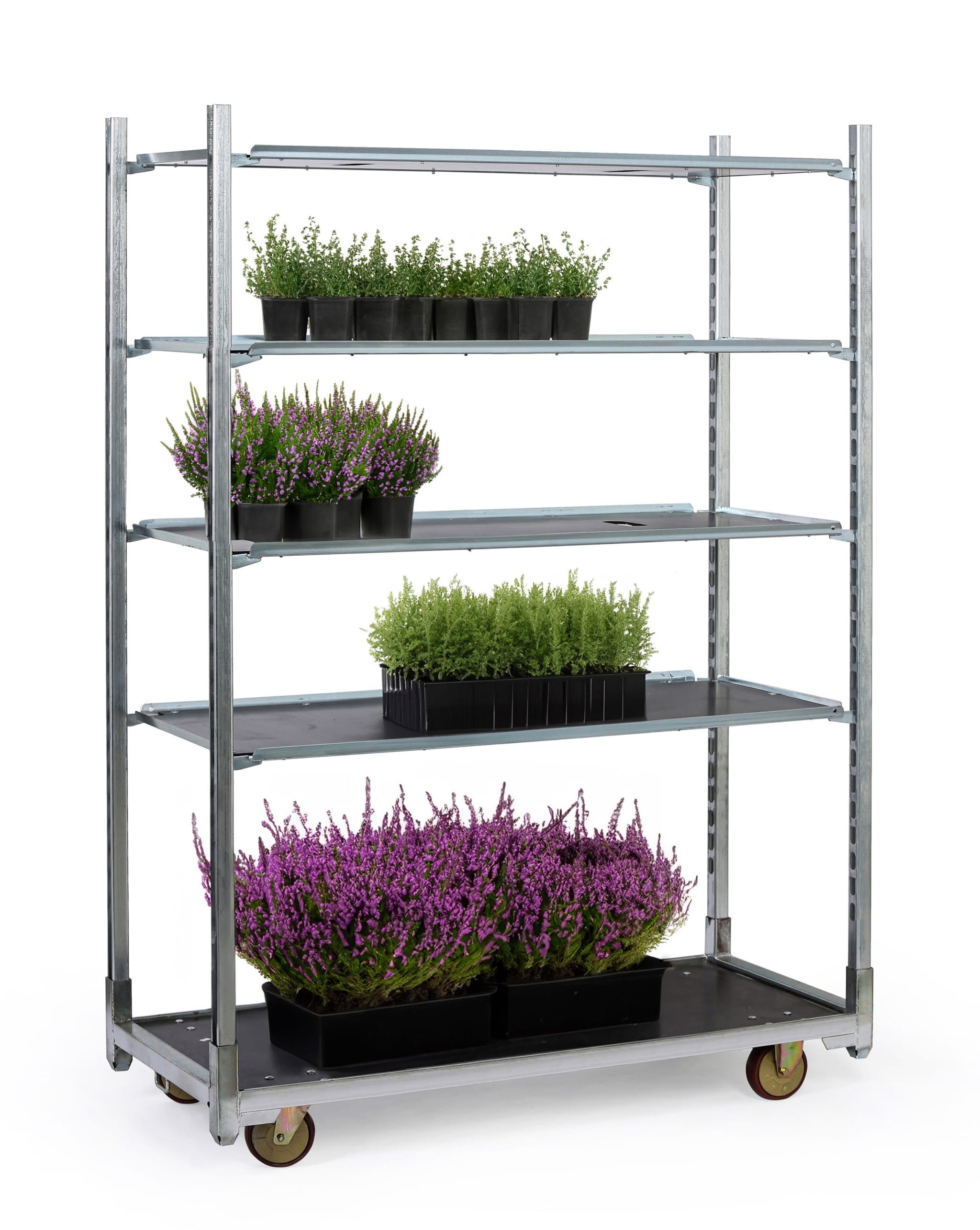Dänischer Blumenwagen, wasserdichte Sperrholzböden mit Ablaufrinnen, 1350 x 562 x 1890 mm