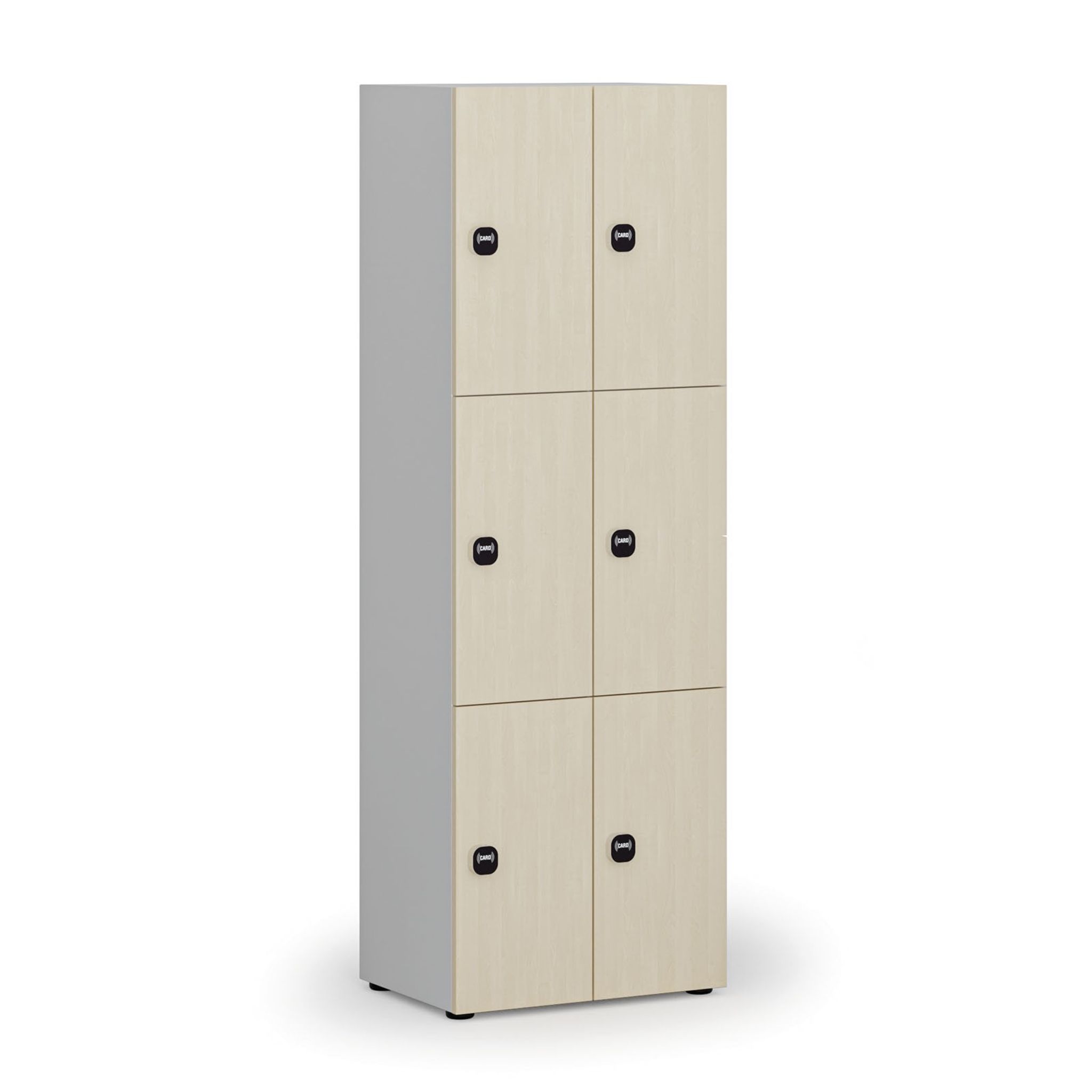 Dřevěná šatní skříňka s úložnými boxy, 6 boxů, RFID zámek, šedá/bříza