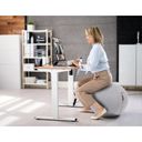 Ergonomischer Sitzball ORBIX, grau