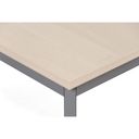 Esstisch TRIVIA, dunkelgraue Konstruktion, 1600 x 800 mm, Birke