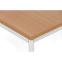 Esstisch TRIVIA, grau Konstruktion, 1600 x 800 mm, Buche