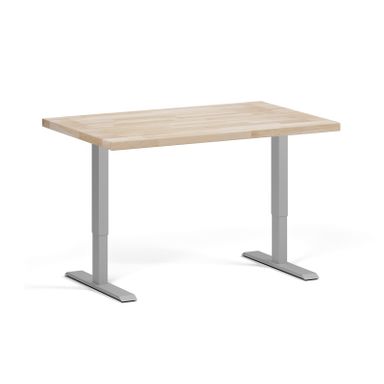 Höhenverstellbare Werkbank für die Werkstatt, 2 Motoren, 1200 x 800 x 760-1230 mm, graues Untergestell