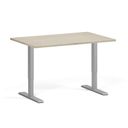 Höhenverstellbarer Schreibtisch, 1 Motor, 74-123 cm, Tischplatte 120x80 cm, graues Metallgestell, Eiche natur