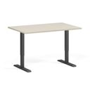 Höhenverstellbarer Schreibtisch, 1 Motor, 74-123 cm, Tischplatte 120x80 cm, schwarzes Metallgestell, Birke