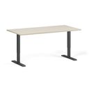 Höhenverstellbarer Schreibtisch, 1 Motor, 74-123 cm, Tischplatte 160x80 cm, schwarzes Metallgestell, Birke