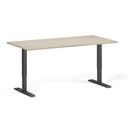 Höhenverstellbarer Schreibtisch, 1 Motor, 74-123 cm, Tischplatte 160x80 cm, schwarzes Metallgestell, Eiche natur