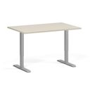 Höhenverstellbarer Schreibtisch, 2 Motoren, 74-121 cm, Tischplatte 120x80 cm, graues Metallgestell, Birke