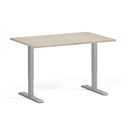 Höhenverstellbarer Schreibtisch, 2 Motoren, 74-121 cm, Tischplatte 120x80 cm, graues Metallgestell, Eiche natur