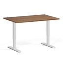 Höhenverstellbarer Schreibtisch, 2 Motoren, 74-121 cm, Tischplatte 120x80 cm, weißes Metallgestell, Nussbaum