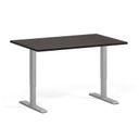 Höhenverstellbarer Schreibtisch, 2 Motoren, 745 - 1215 mm, Tischplatte 1200 x 800 mm, graues Untergestell, Wenge