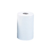 Papírové ručníky dvouvrstvé v roli MINI, bílé, 12 ks