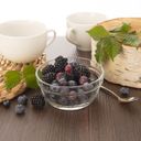 Miska MASTER, priemer 10,5 cm, 24 ks