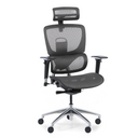 Multifunkčná kancelárska stolička WINSTON SA, sivá