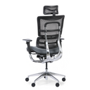 Multifunkčná kancelárska stolička WINSTON SAB, sivá