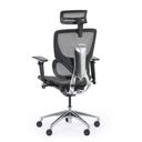 Multifunkční kancelářská židle WINSTON SA, šedá