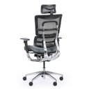 Multifunkční kancelářská židle WINSTON SAB, šedá