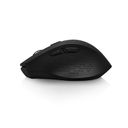 Myš Niceboy Office M10 Ergonomic