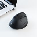 Myš Niceboy Office M40 Vertical
