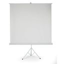 Projektionsleinwand mit Ständer 1800 x 1800 mm