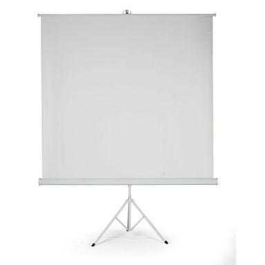 Projektionsleinwand mit Ständer 2000 x 2000 mm