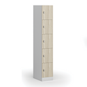 Šatní skříňka s úložnými boxy, 5 boxů, 1850 x 300 x 500 mm, demont, otočný zámek, laminované dveře, dub přírodní