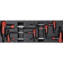 Satz Innensechskantschlüssel, 6-tlg. – Schubladeneinsatz für G2/G6, Chrom-Vanadium