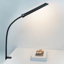 Stolná LED lampa BRILIA, svorka