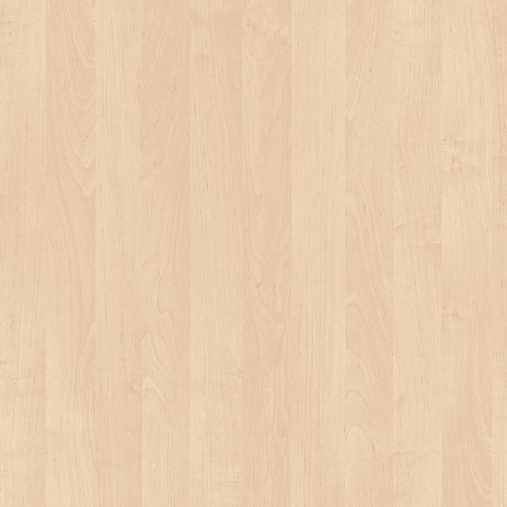 Aktenschrank PRIMO GRAY, 800 x 500 x 1781 mm, grau/Birke