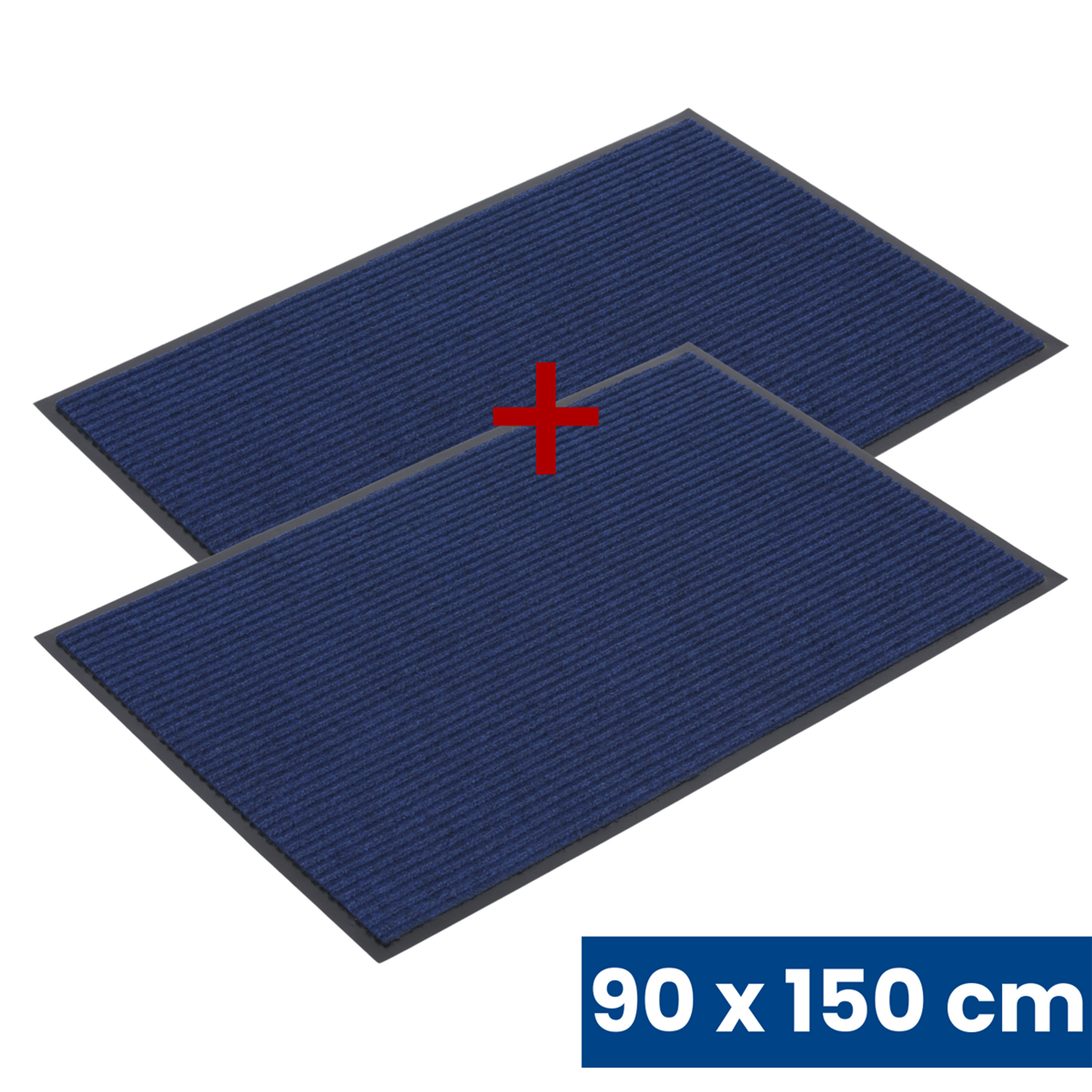 Widerstandsfähige Eingangsmatte mit PVC 1+1 GRATIS, 90 x 150 cm, blau
