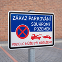 Zákaz parkování - 700 x 500mm, modrá